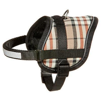 chiot teeny weeny chiens vaisselle beige differentes