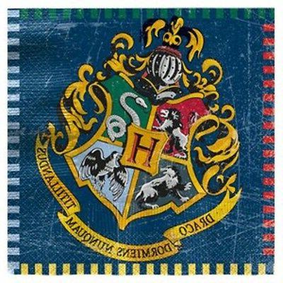 garcons filles adultes harry potter anniversaire fete