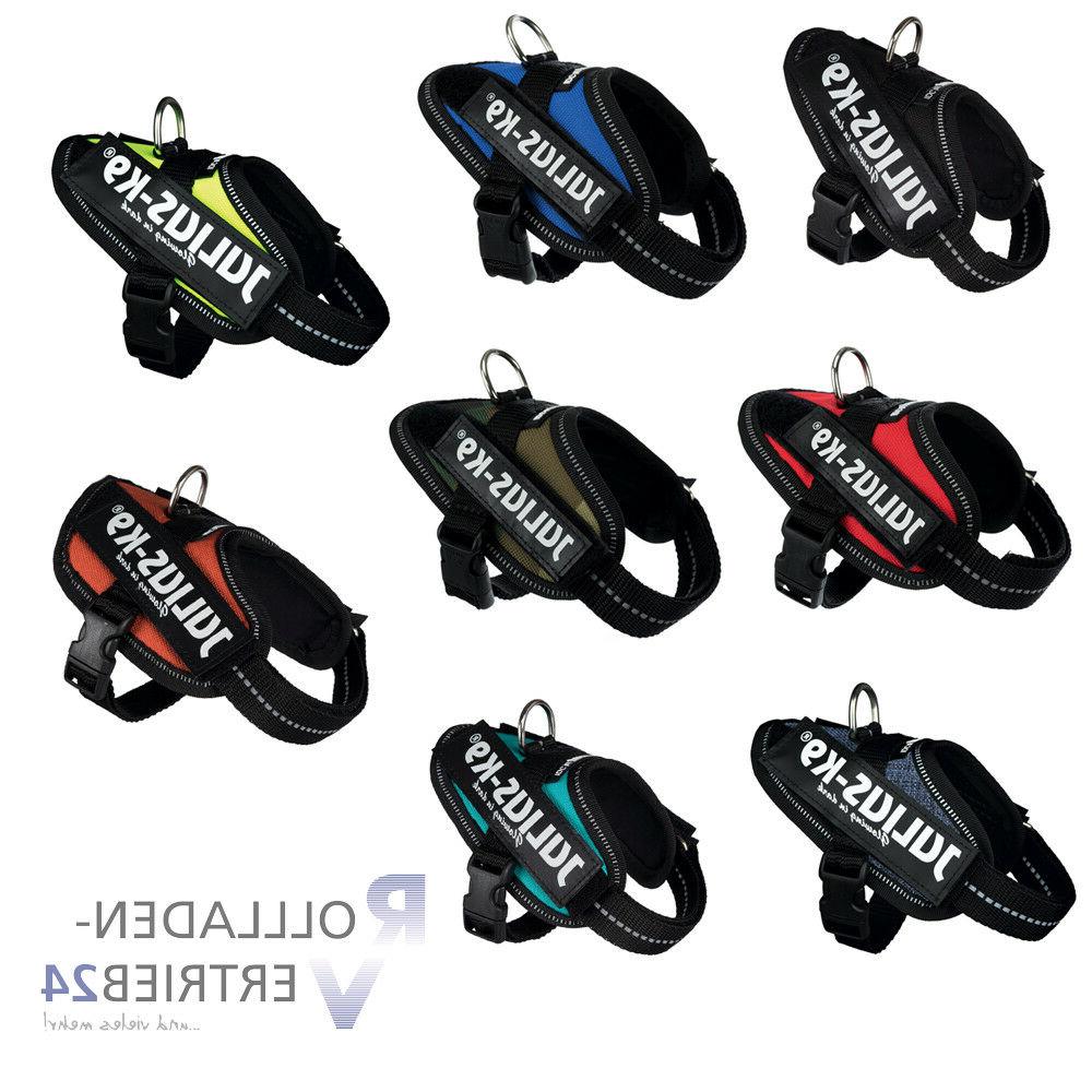 harnais julius k 9 idc plats electriques