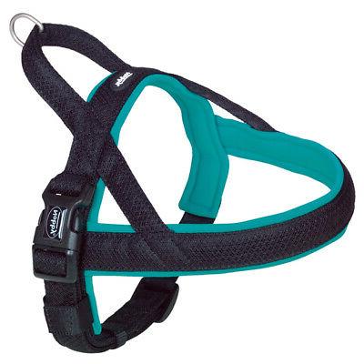 norvege chiens vaisselle mesh preno turquoise differentes