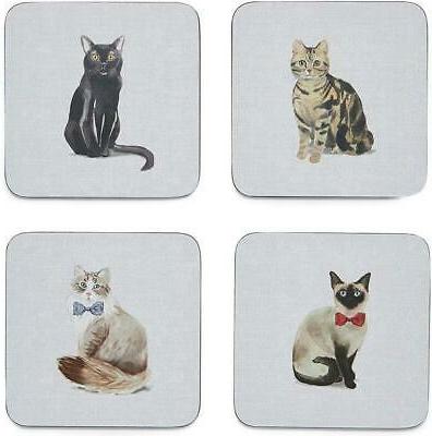 set de 4 blanc curieux design chats
