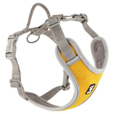 venture chiens vaisselle orange differentes tailles neuf